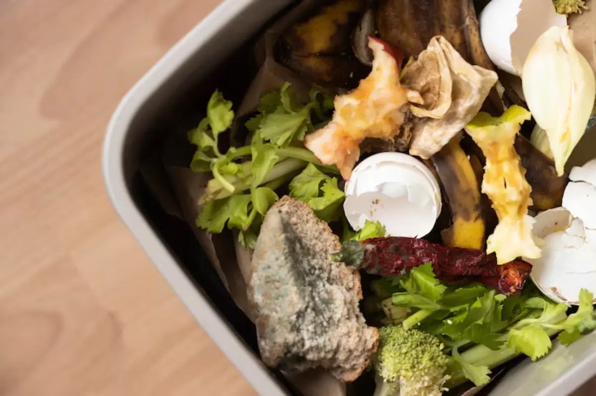 A compost bin filled with food waste, including banana peels, celery, onion scraps, and eggshells, on a wooden surface.
